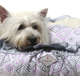 Cama Love Cinza com Rosa