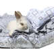 Cama Love Cinza com Azul
