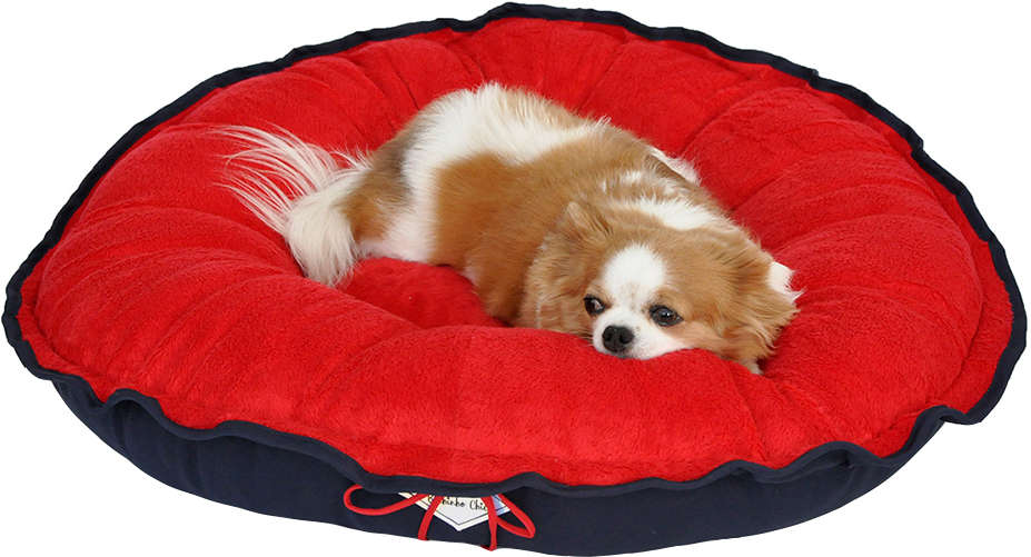 Cama Firenze Vermelho - Tam. P