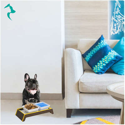 Comedouro Duplo Elevado Amarelo para Cães e Gatos