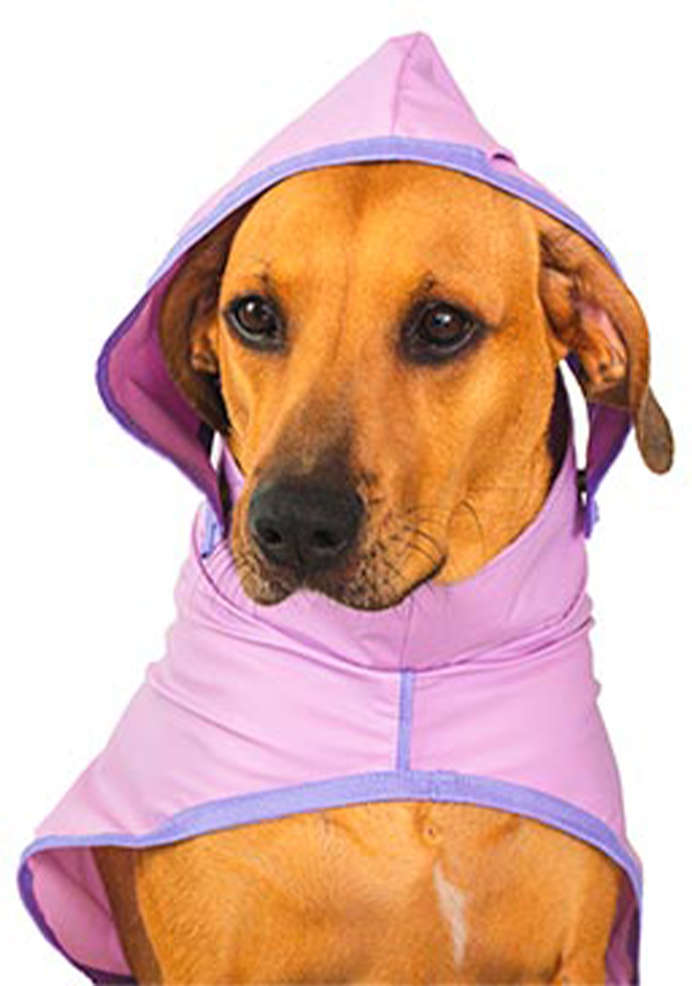 Capa de Chuva Auventureiro Arpoador Lilás - Tam. GG