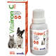 Suplemento Vitamínico Vet Farmos Vitairon C Pet para Cães e Gatos