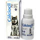 Suplemento Mineral Vitamínico Vet Farmos Cálciocil Pet para Cães