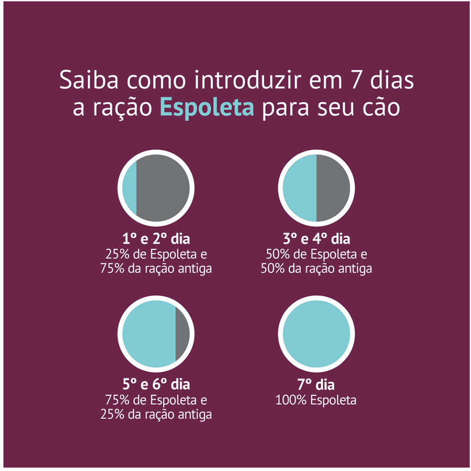 Ração Seca Espoleta Carne para Cães Adultos - 25Kg