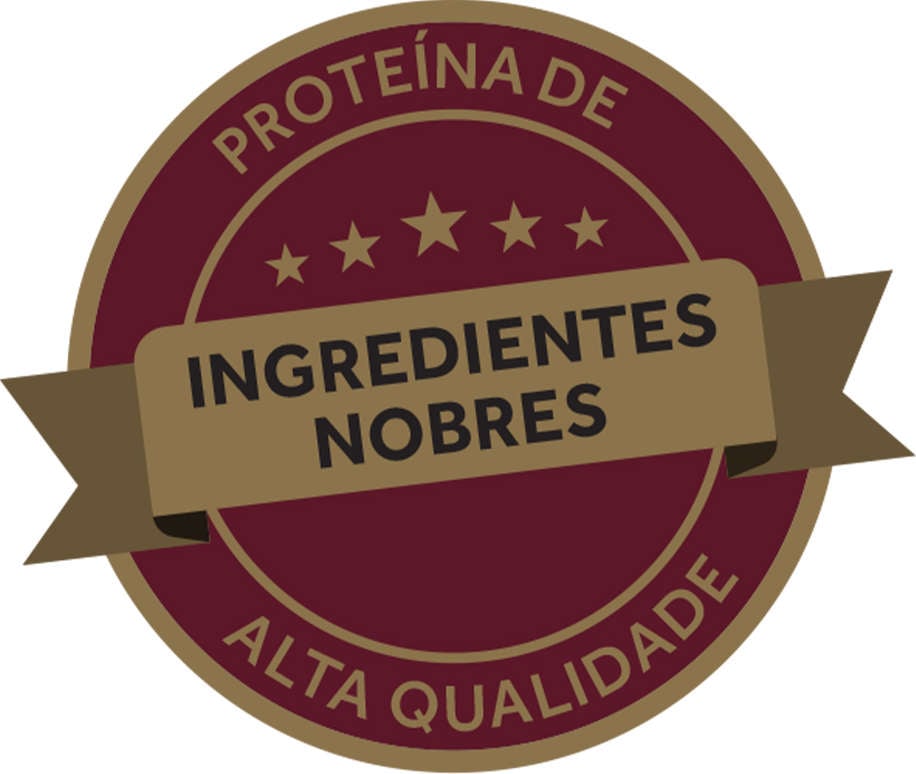 Ração Úmida GranPlus Sachê Gourmet Salmão para Cães Adultos - 100 g