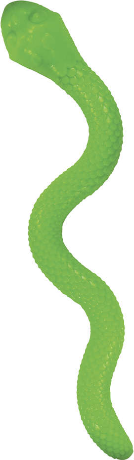 Brinquedo Cobra TPR com Dispenser para Ração Verde para Cães - Tam. Único