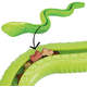 Brinquedo Cobra TPR com Dispenser para Ração Verde para Cães