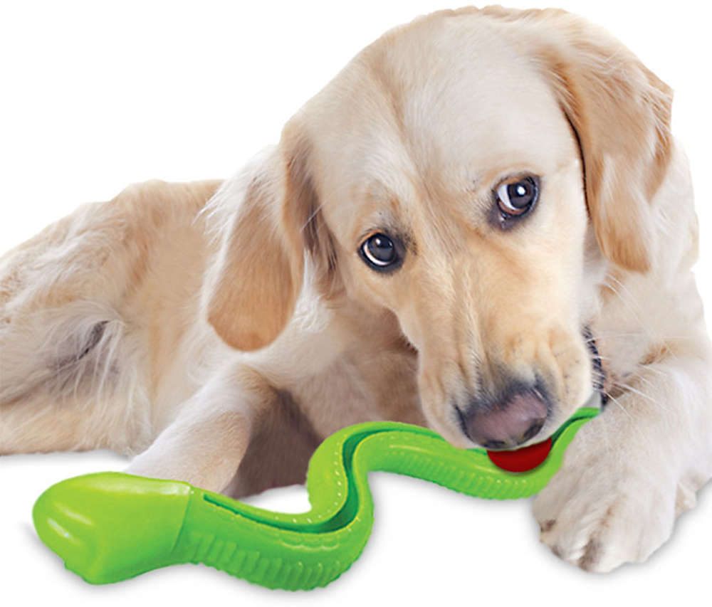 Brinquedo Cobra TPR com Dispenser para Ração Verde para Cães - Tam. Único