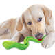 Brinquedo Cobra TPR com Dispenser para Ração Verde para Cães
