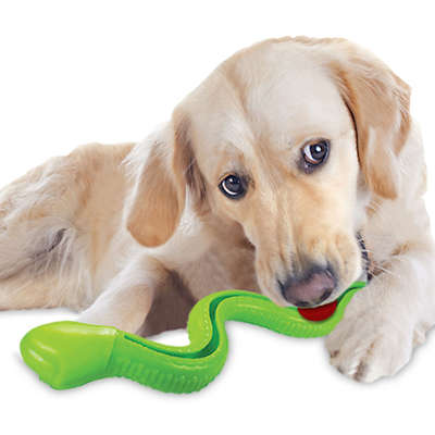 Brinquedo Cobra TPR com Dispenser para Ração Verde para Cães