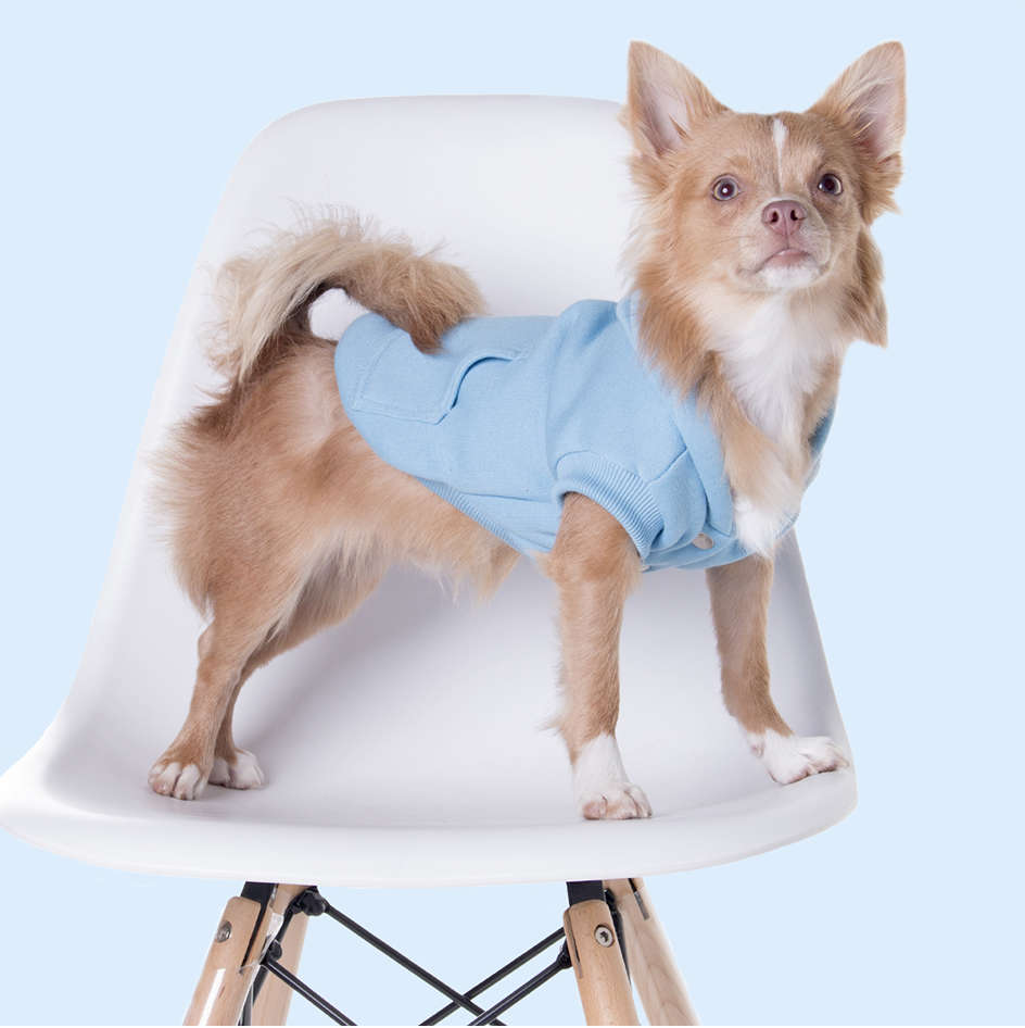 Casaco Moletom Azul para Cães e Gatos - Tam. 08