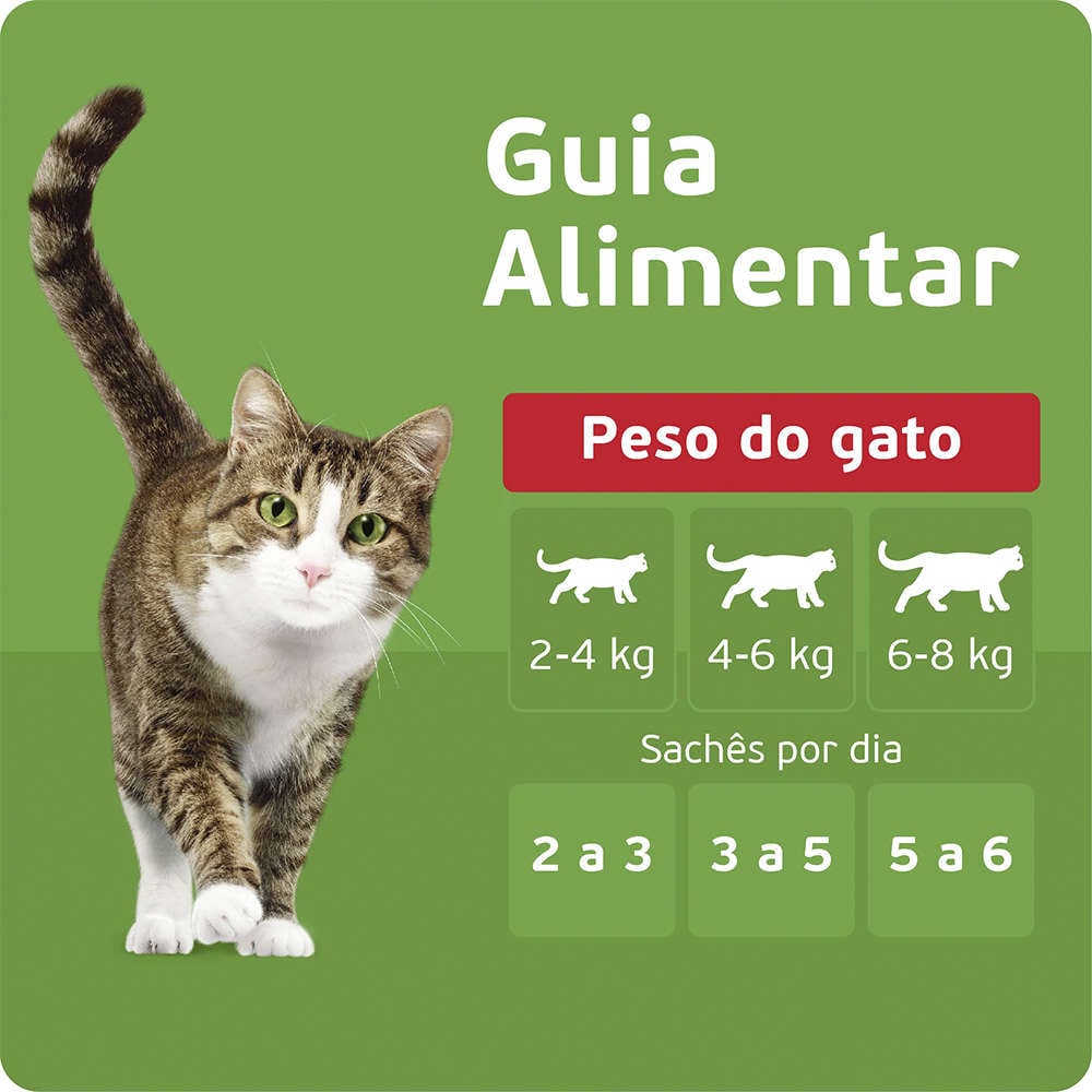 Ração Kitekat Sachê Frango para Gatos Adultos - 70 g