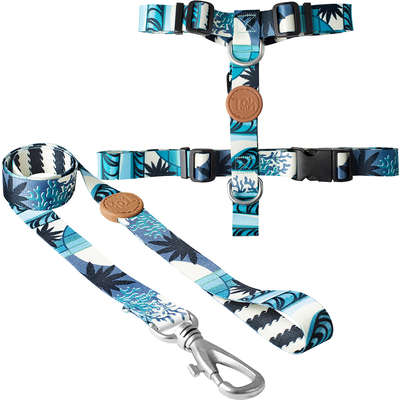 Peitoral H e Guia Outdoor Noronha