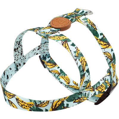 Peitoral e Guia Outdoor Banana