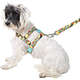 Peitoral e Guia Outdoor Tucano