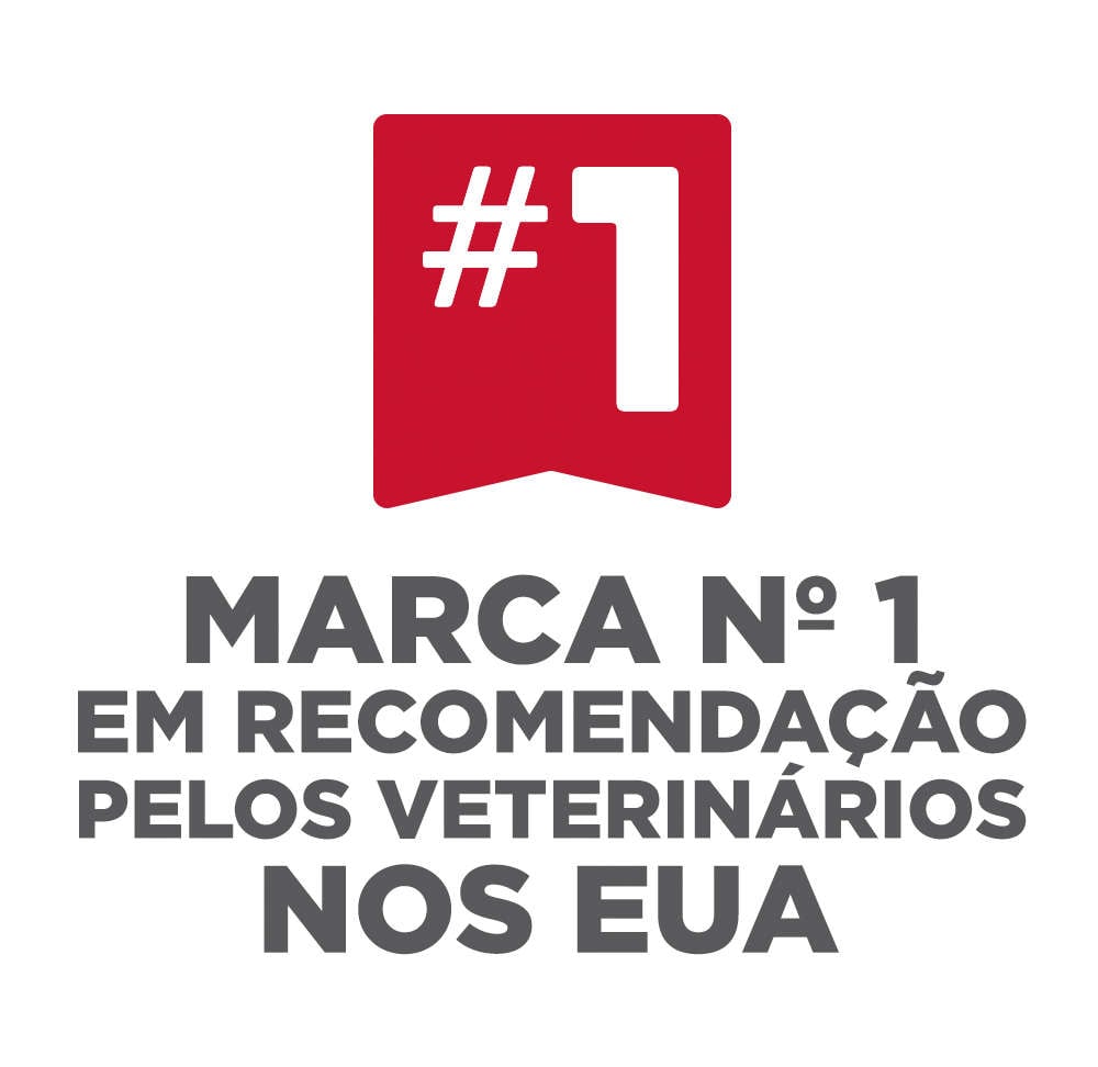 Ração Seca Hill's Science Diet para Gatos Filhotes - 1,59Kg
