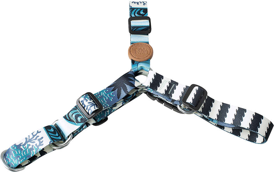 Conjunto Peitoral Antipuxão e Guia Outdoor Noronha - Tam. G