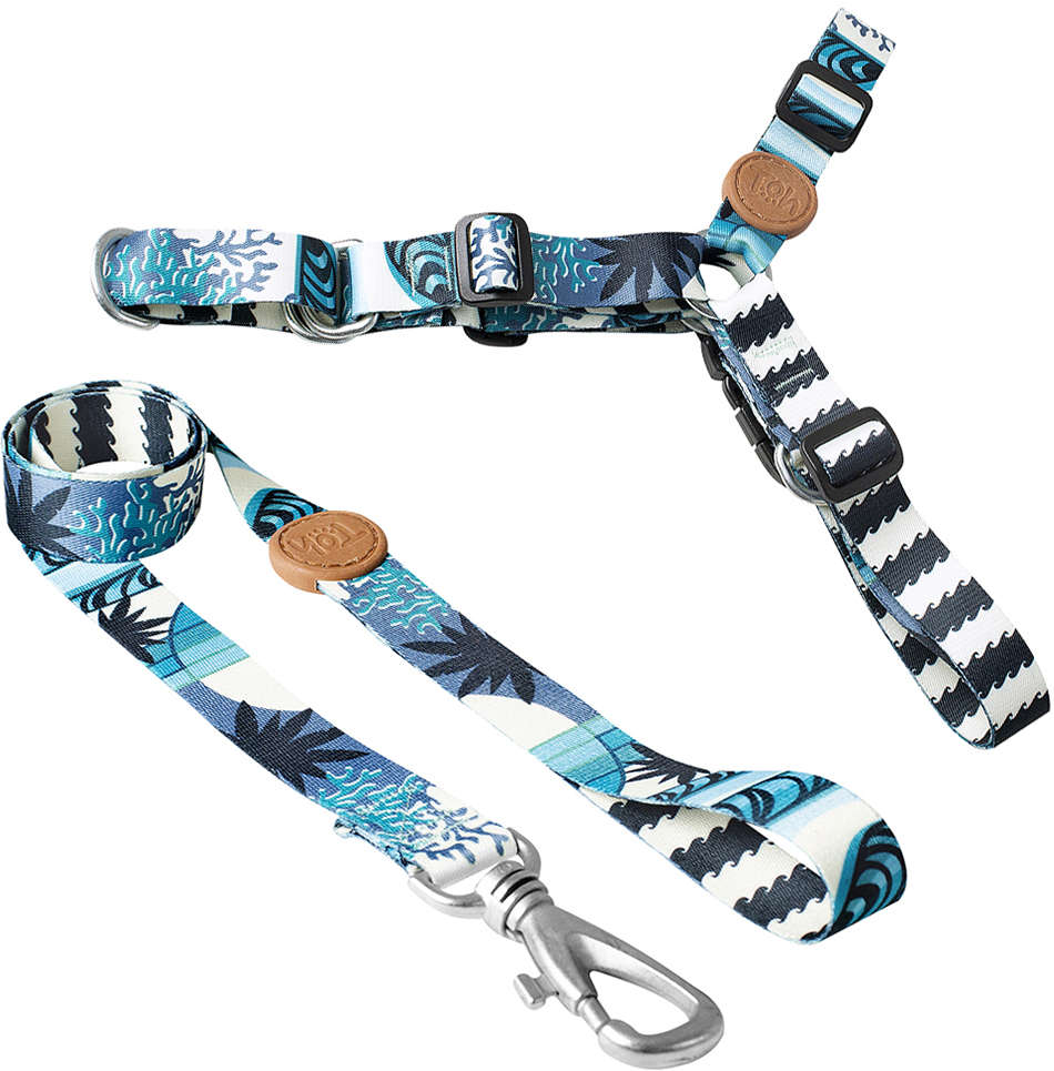 Conjunto Peitoral Antipuxão e Guia Outdoor Noronha - Tam. G