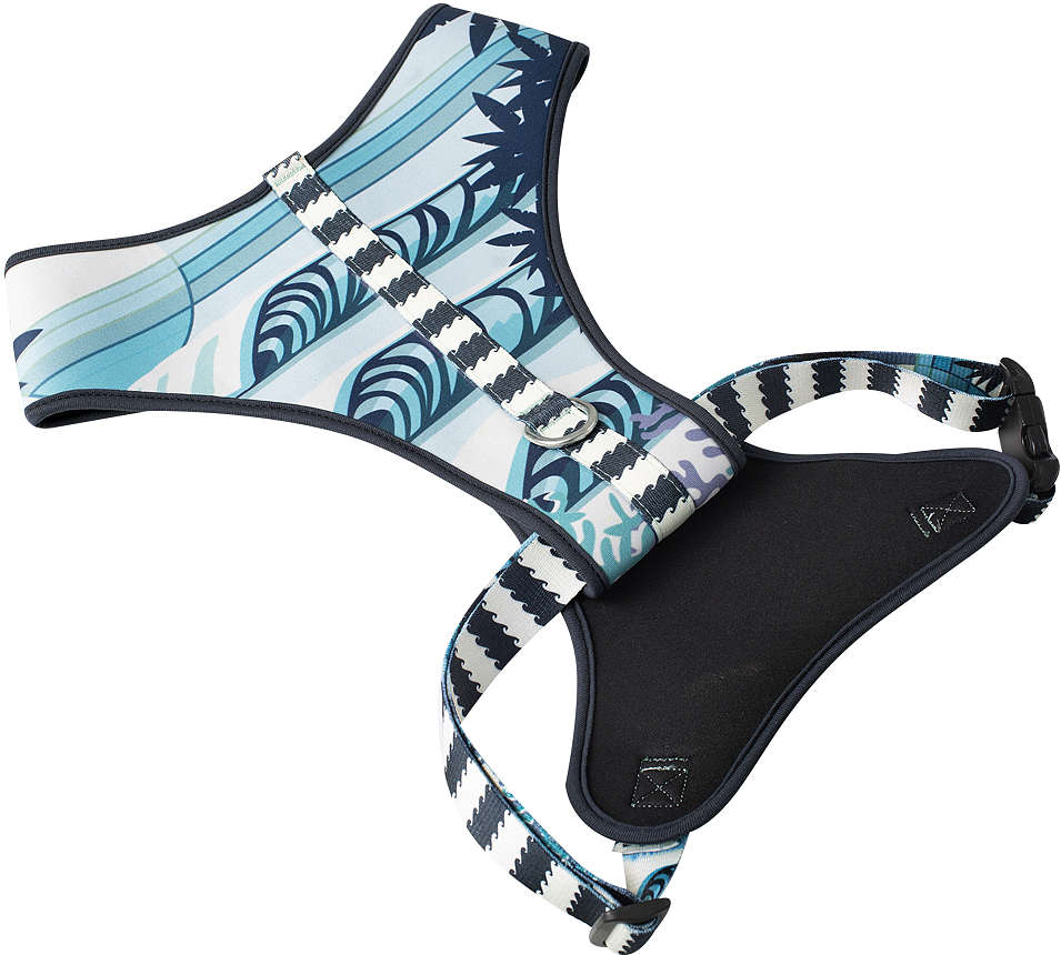 Conjunto Peitoral Neoprene e Guia Noronha - Tam. PP