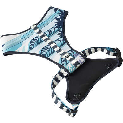 Conjunto Peitoral Neoprene e Guia Noronha