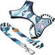 Conjunto Peitoral Neoprene e Guia Noronha