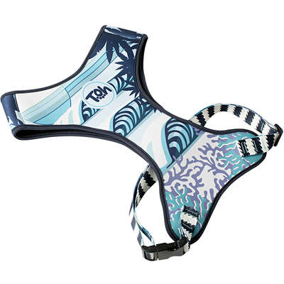 Conjunto Peitoral Neoprene e Guia Noronha