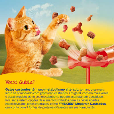 Ração Seca Nestlé Purina Friskies Megamix para Gatos Castrados