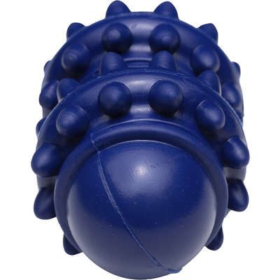 Brinquedo Cilindro Azul Sabor Leite para Cães
