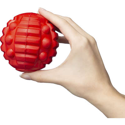 Brinquedo Bola com Apito Vermelho Sabor Frango para Cães