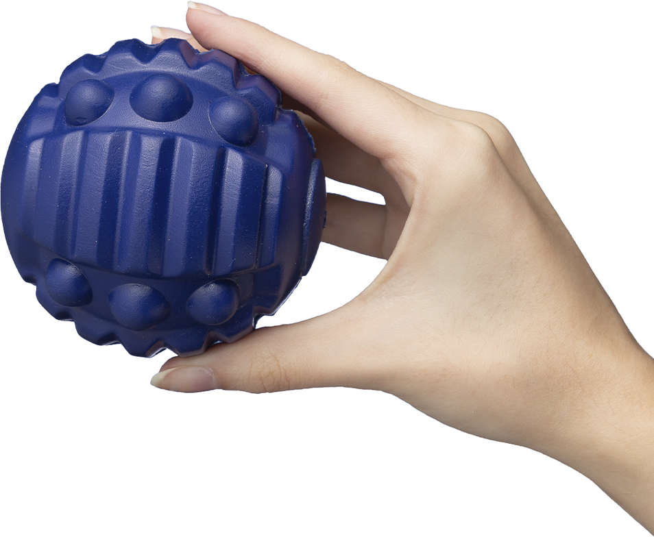 Brinquedo Bola com Apito Azul Sabor Frango para Cães - Tam. Único