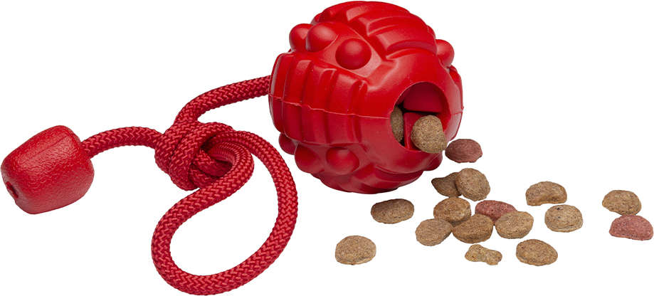 Brinquedo Bola com Corda Vermelho Sabor Carne para Cães - Tam. Único