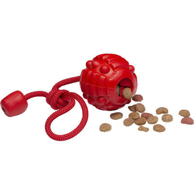 Brinquedo Bola com Corda Vermelho Sabor Carne para Cães