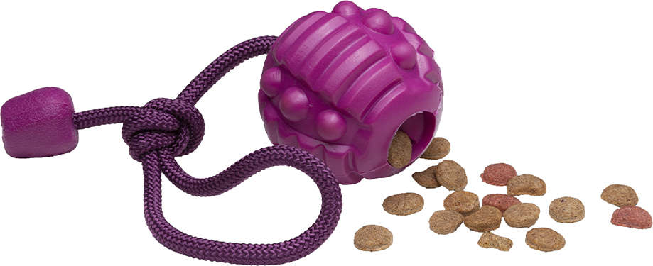 Brinquedo Bola com Corda Roxo Sabor Carne para Cães - Tam. Único