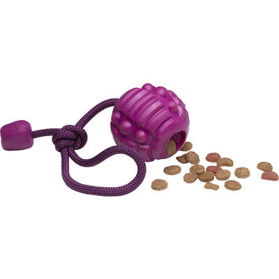 Brinquedo Bola com Corda Roxo Sabor Carne para Cães