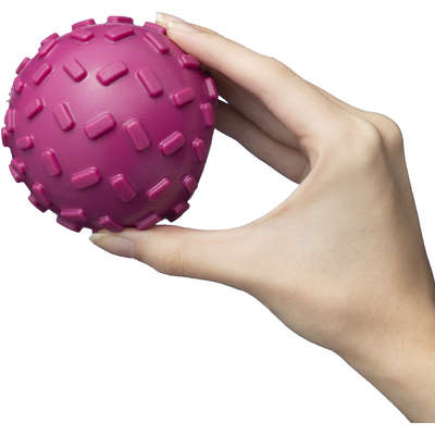 Brinquedo Bola com Dispenser de Ração Roxo Sabor Bacon para Cães
