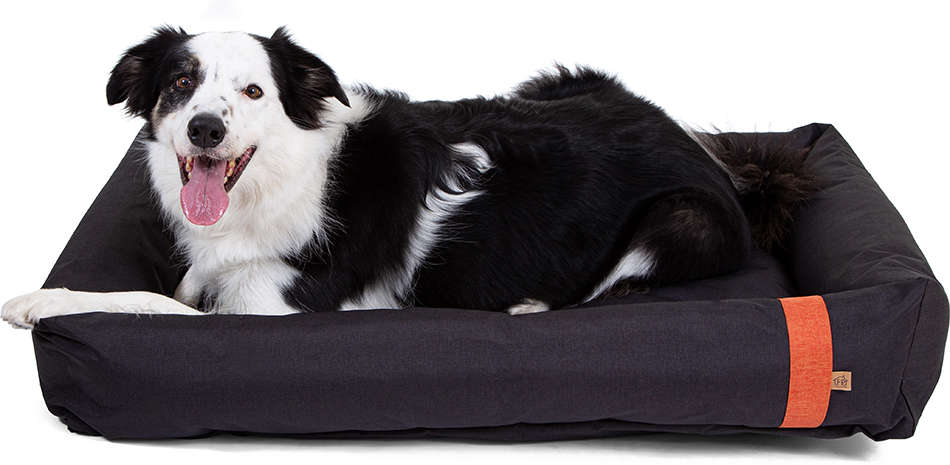 Cama Fábrica Pet Lona Chumbo - Tam. EXG