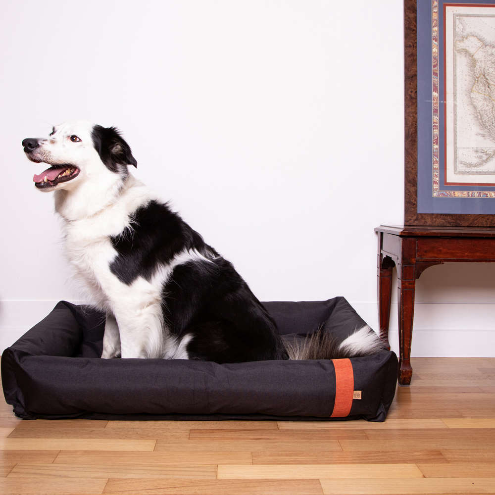 Cama Fábrica Pet Lona Chumbo - Tam. EXG