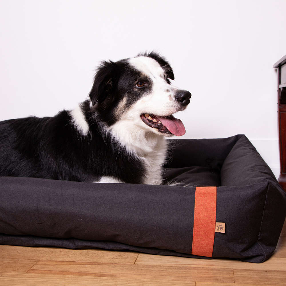 Cama Fábrica Pet Lona Chumbo - Tam. EXG