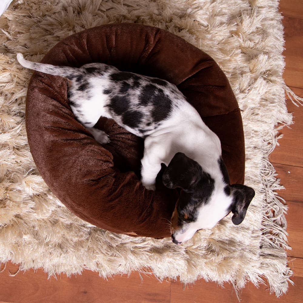 Cama Nuvem Pelúcia Marrom - Tam. P