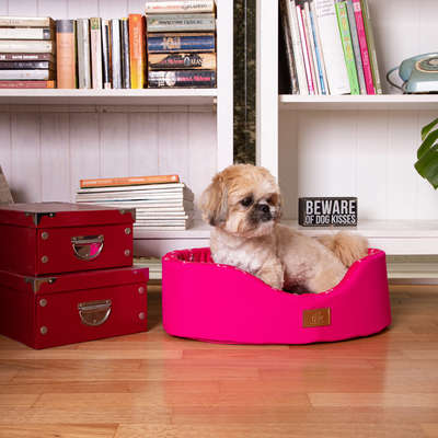 Cama Europa Paris Fábrica Pet - Pink