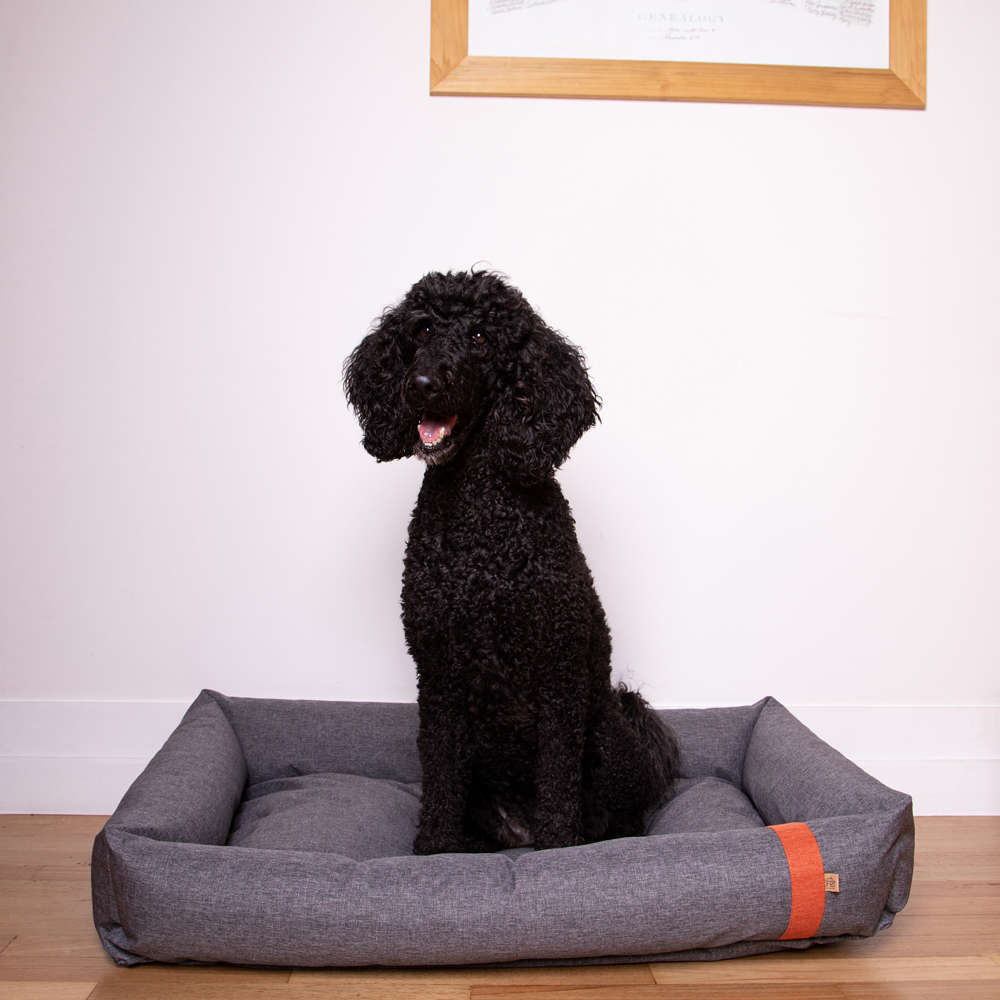 Cama Fábrica Pet Lona Cinza - Tam. G