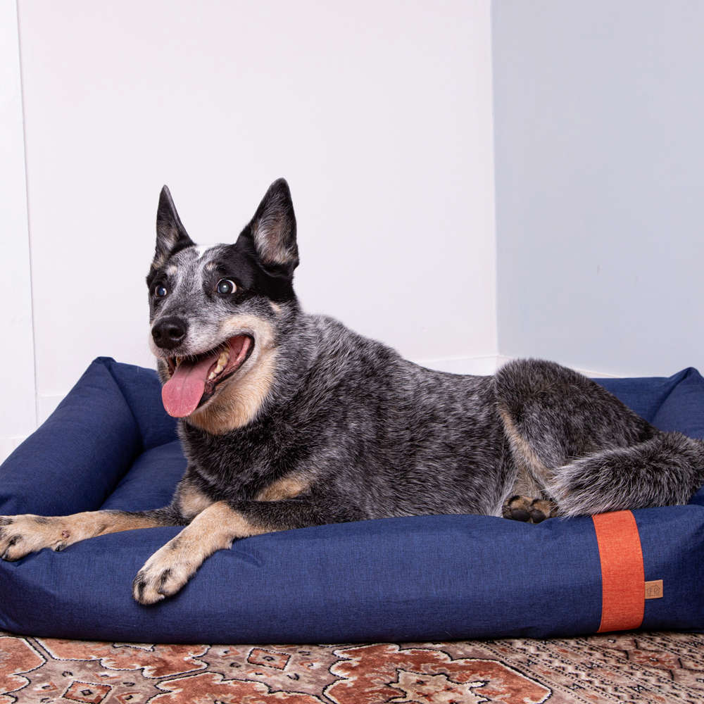 Cama Fábrica Pet Lona Azul Marinho - Tam. EXG