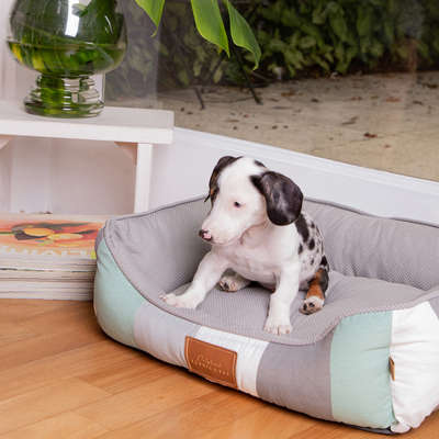Cama Fábrica Pet Decor Cinza