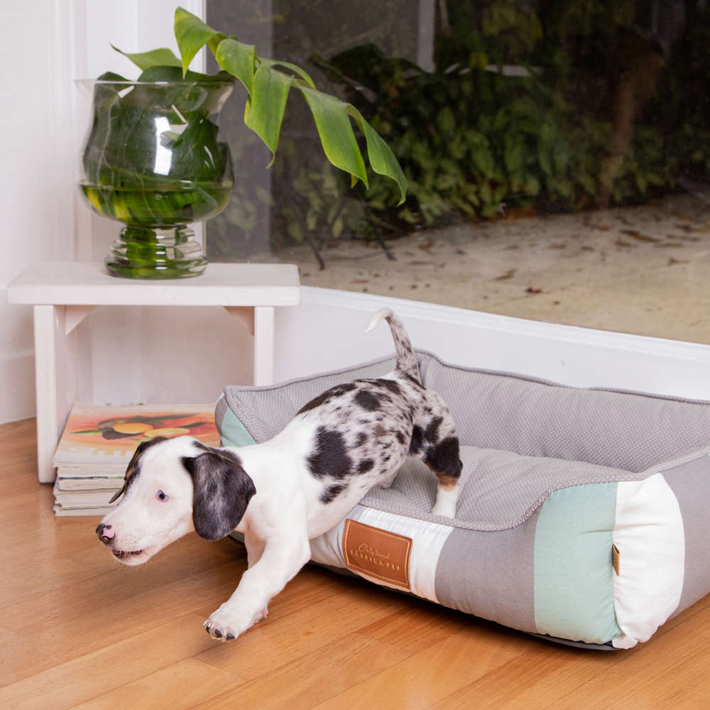 Cama Fábrica Pet Decor Cinza - Tam. P