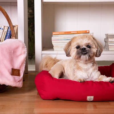 Cama Retangular Fábrica Pet Vermelha