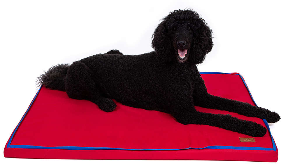 Colchonete Fábrica Pet Impermeável 5 cm Vermelho - Tam. P