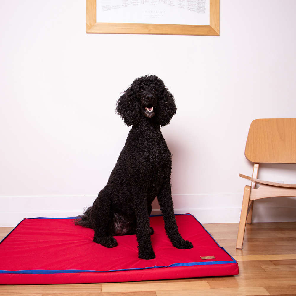 Colchonete Fábrica Pet Impermeável 5 cm Vermelho - Tam. P