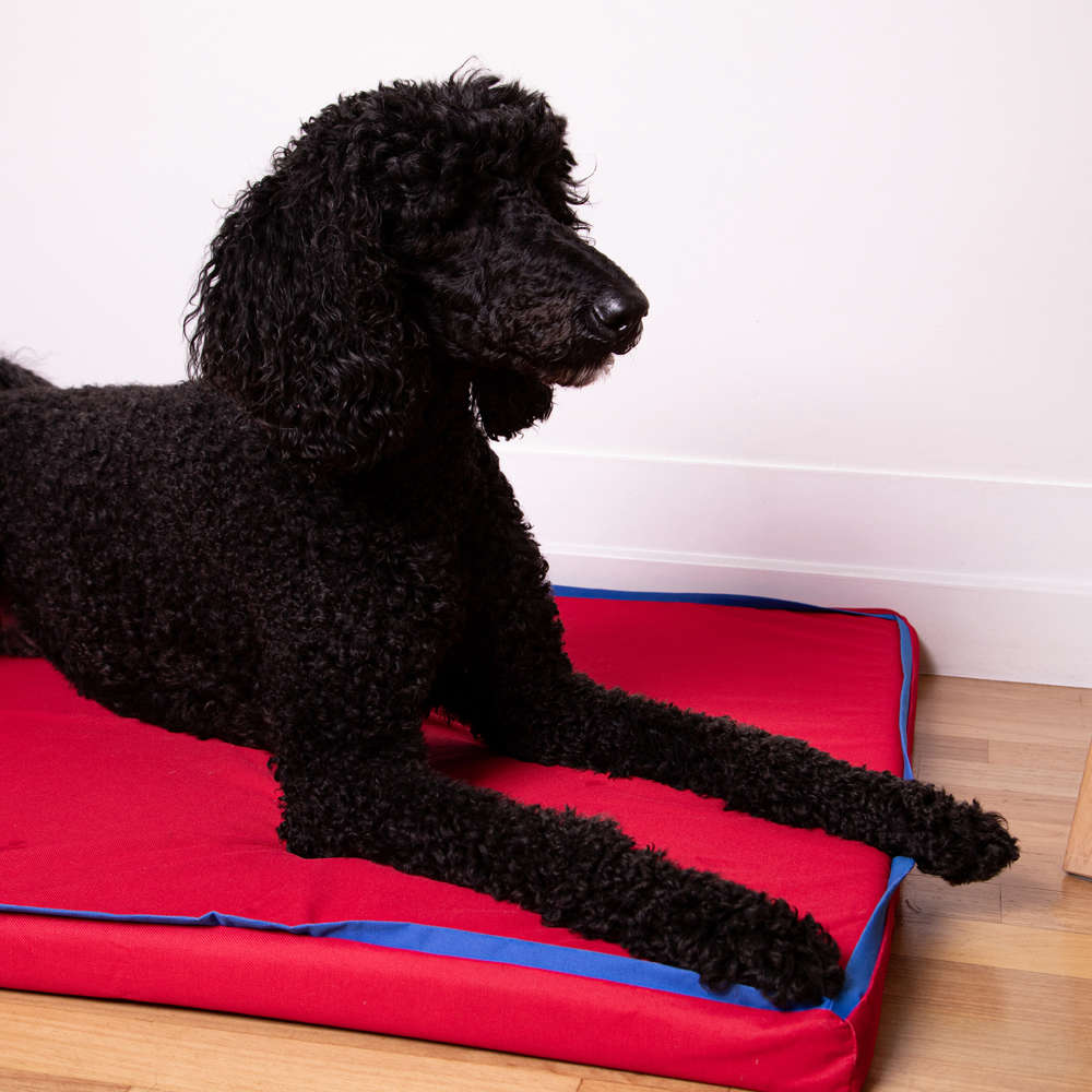 Colchonete Fábrica Pet Impermeável 5 cm Vermelho - Tam. P