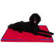 Colchonete Fábrica Pet Impermeável 5 cm Vermelho
