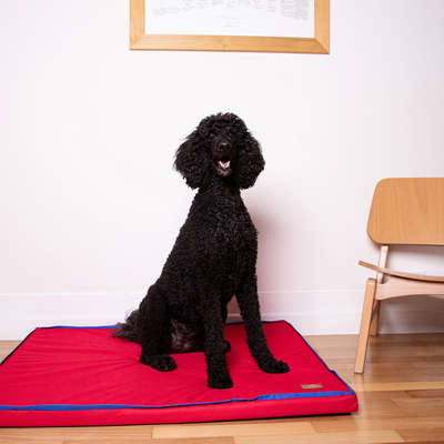 Colchonete Fábrica Pet Impermeável 5 cm Vermelho